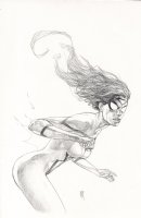 Spiderwoman Cover